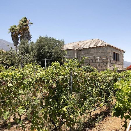 Las Tres Palmeras Güimar Exterior foto