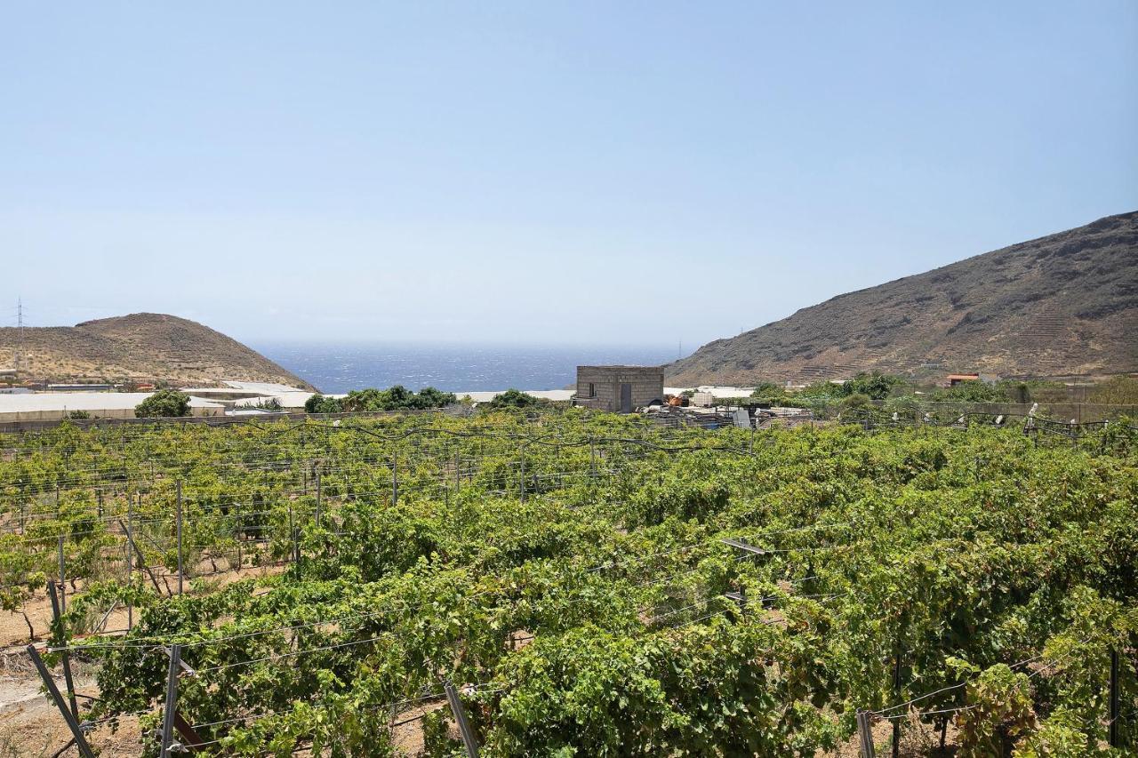 Las Tres Palmeras Güimar Exterior foto