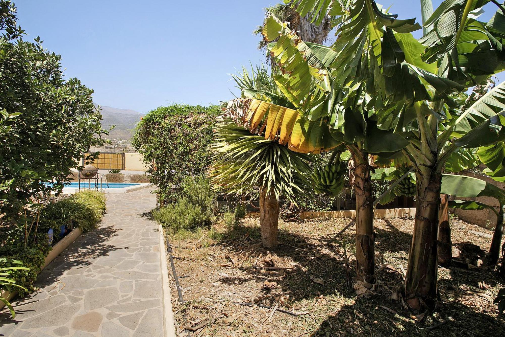 Las Tres Palmeras Güimar Exterior foto