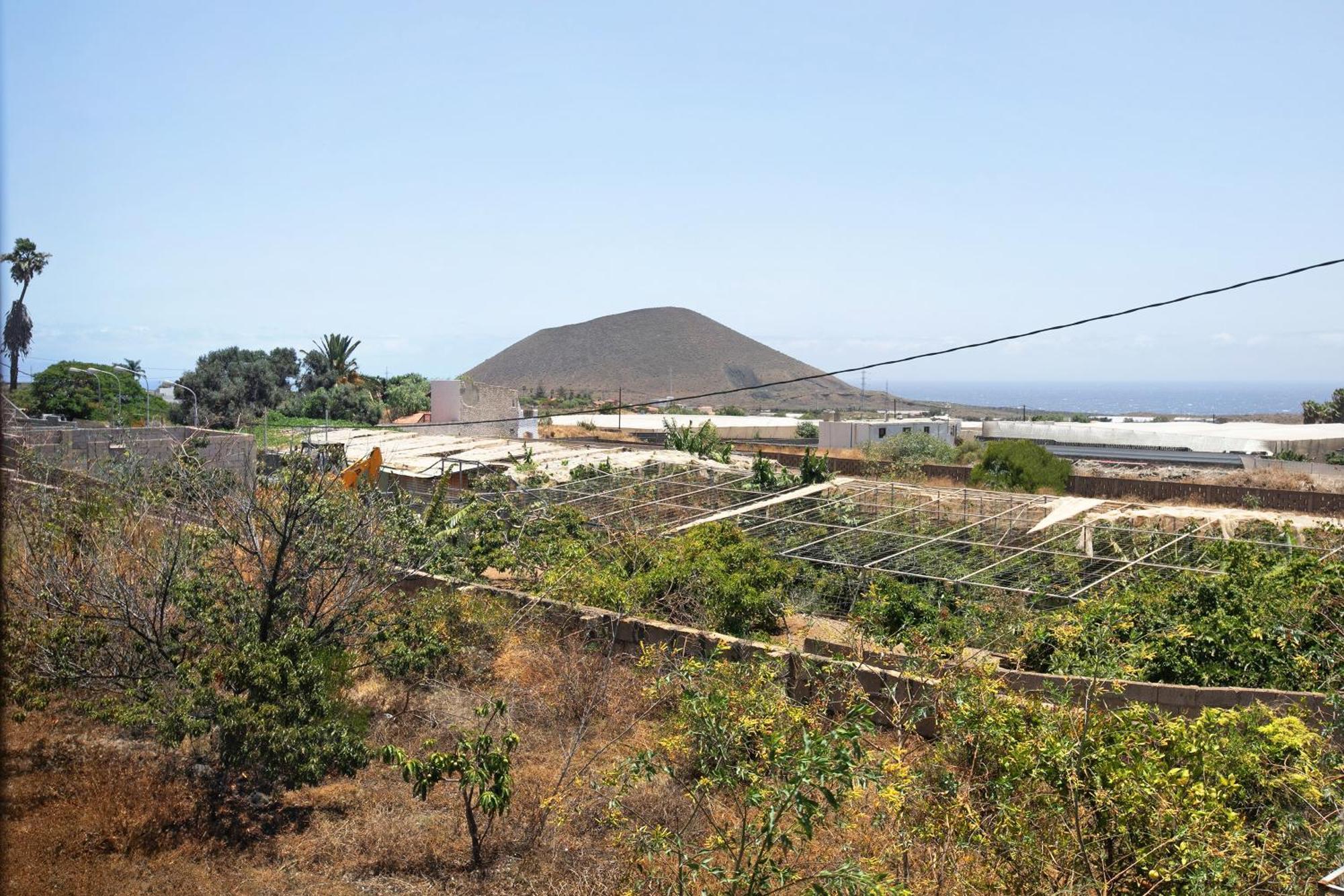 Las Tres Palmeras Güimar Exterior foto